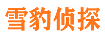 汉源调查事务所